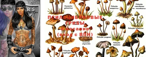 МДПВ Беломорск