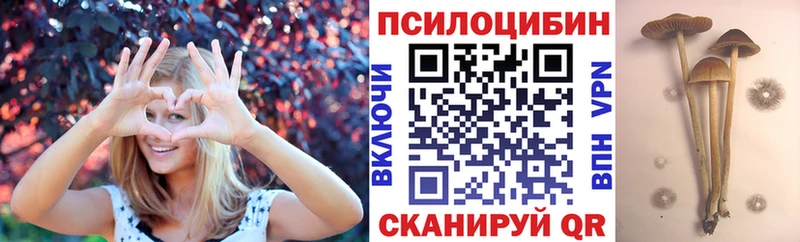 кракен ССЫЛКА наркота Дагестанские Огни Псилоцибиновые грибы Magic Shrooms